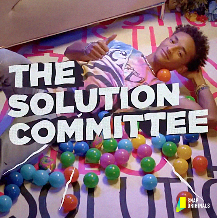 The Solution Committee